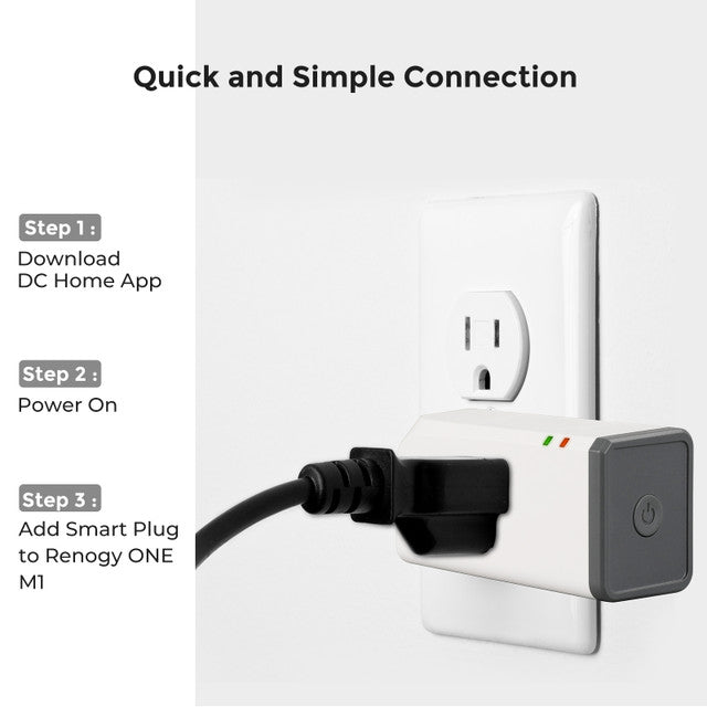 Renogy Zigbee Smart Plug US Type,without meter