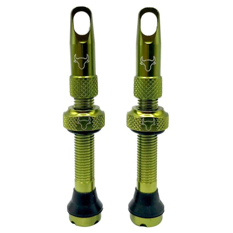 Hold Fast Cycling Tubeless Valve Stem - Presta
