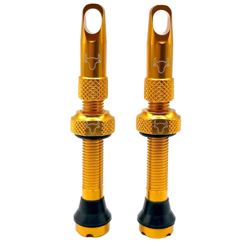 Hold Fast Cycling Tubeless Valve Stem - Presta