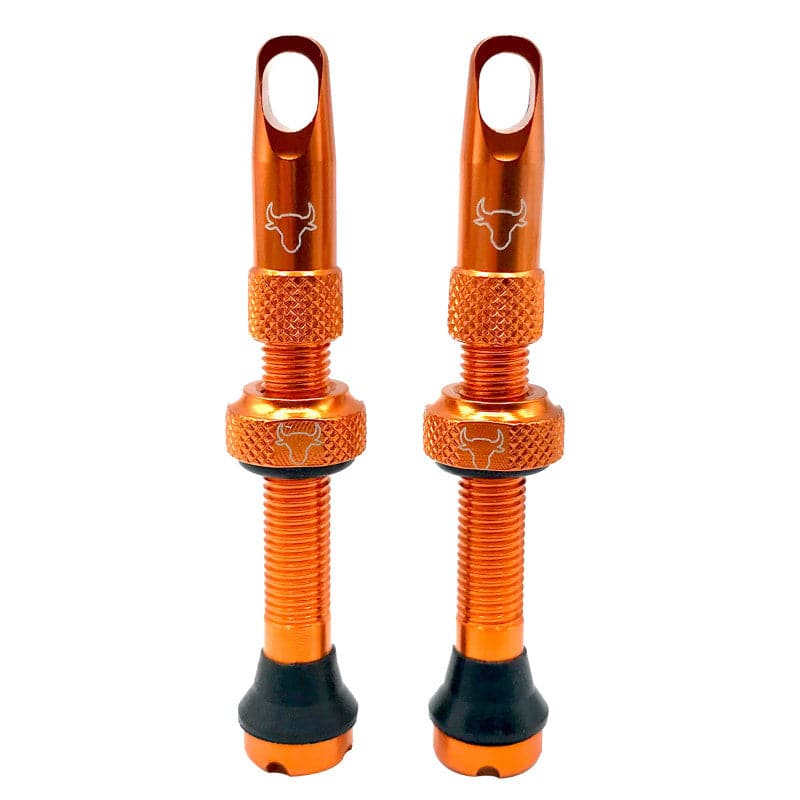 Hold Fast Cycling Tubeless Valve Stem - Presta