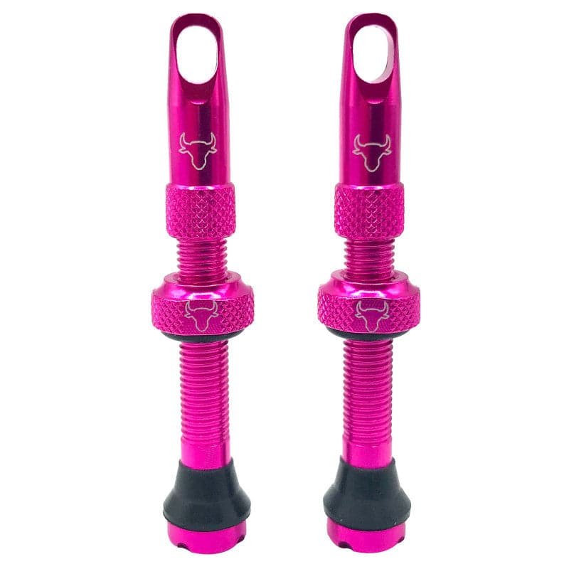 Hold Fast Cycling Tubeless Valve Stem - Presta
