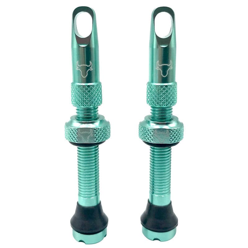 Hold Fast Cycling Tubeless Valve Stem - Presta