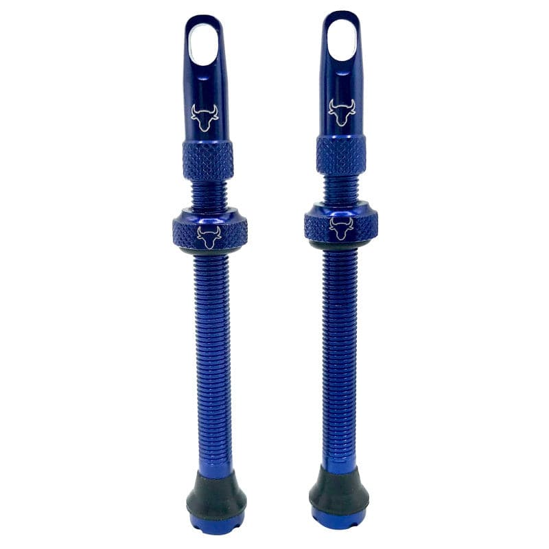 Hold Fast Cycling Tubeless Valve Stem - Presta