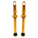 Hold Fast Cycling Tubeless Valve Stem - Presta