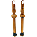 Hold Fast Cycling Tubeless Valve Stem - Presta