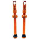 Hold Fast Cycling Tubeless Valve Stem - Presta