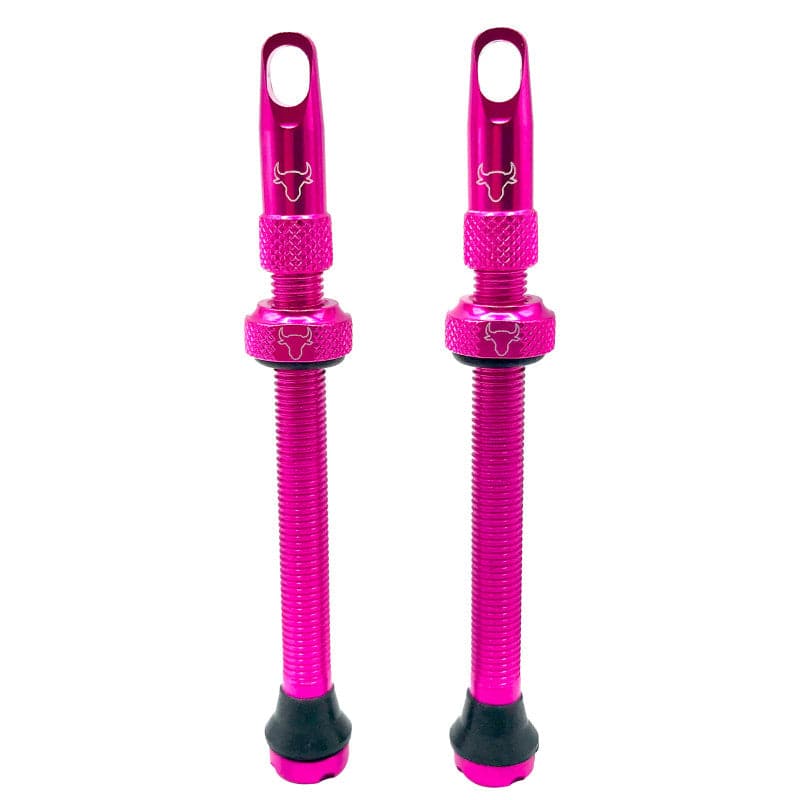 Hold Fast Cycling Tubeless Valve Stem - Presta