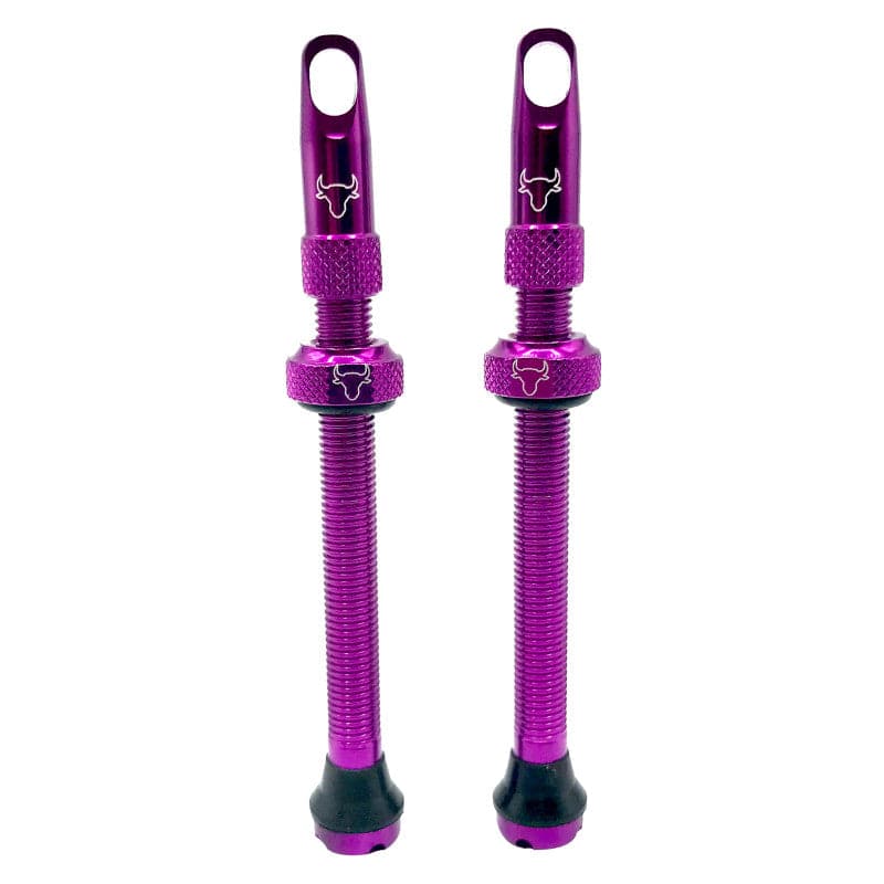 Hold Fast Cycling Tubeless Valve Stem - Presta
