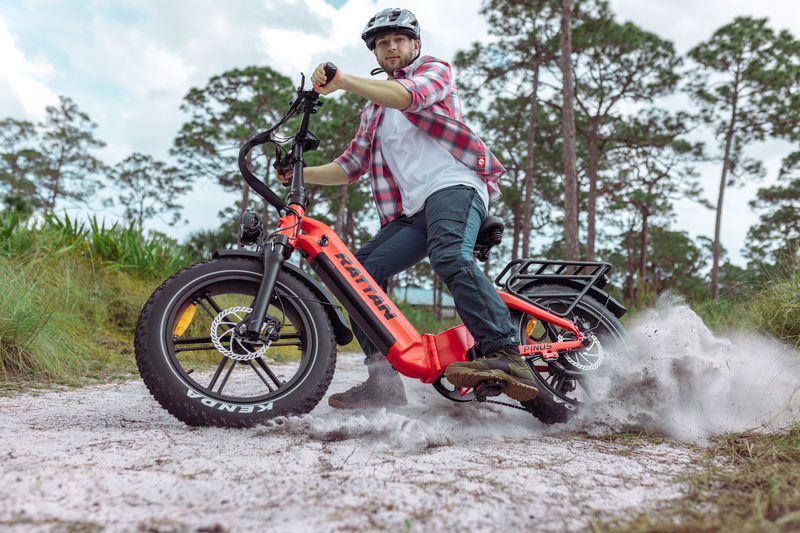 Rattan Pinus e-bike | Wellbots