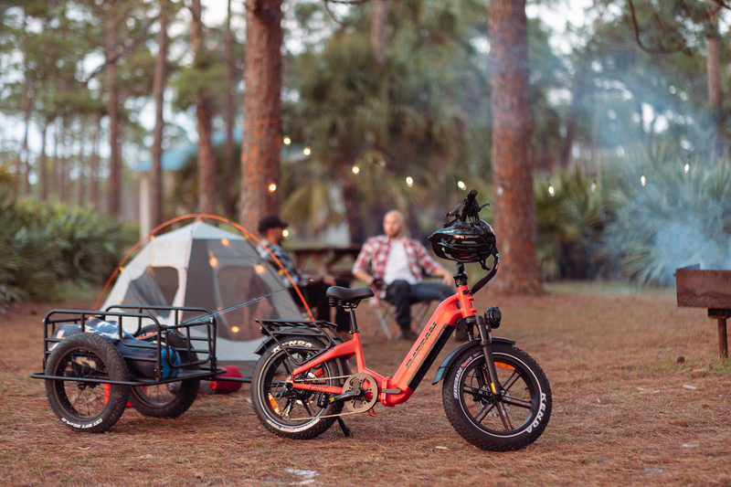 Bicicleta eléctrica de ratán Pinus