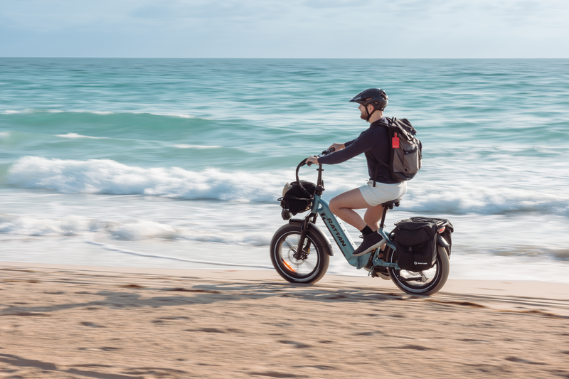 Bicicleta eléctrica de ratán Pinus