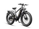 JASION Thunder Pro Ebike
