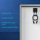 Módulos Poly de Acopower de 100 W