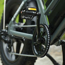 CycHunter Moped Electric Bike