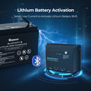 Controlador de carga solar con conexión a tierra negativa Renogy Wanderer de 30 amperios y 12 V PWM