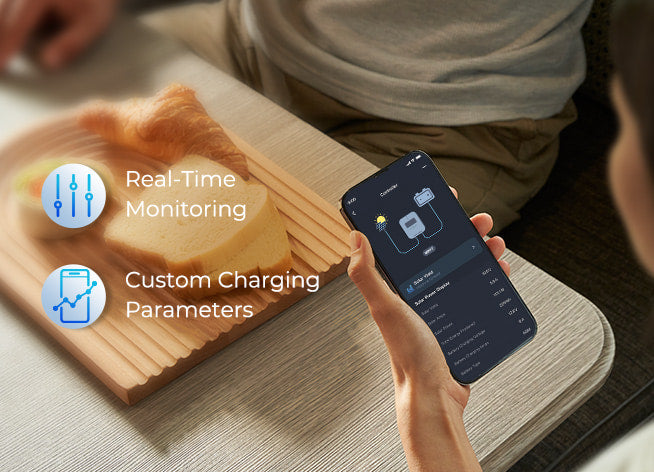 RENOGY 60A Solar Charge Controller with Core