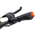 isinwheel S10Max 1000W High-End Commuting Electric Scooter