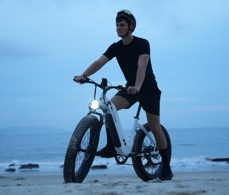 CycVerve All-terrain Electric Bike