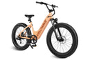 VELOWAVE ROVER Step-Thru eBike