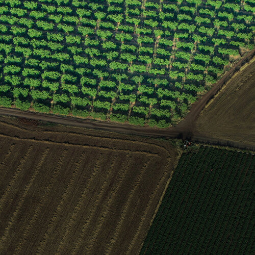 DJI Zenmuse L1