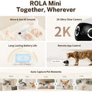 ROLA Mini Companion Robot
