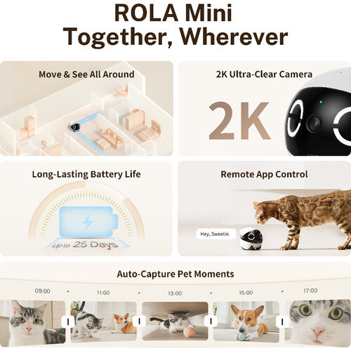 ROLA Mini Companion Robot | Wellbots | Free Shipping