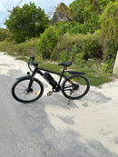 isinwheel M10 Plus Electric Bike for Adults