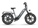 Himiway Big Dog eBike Cargo