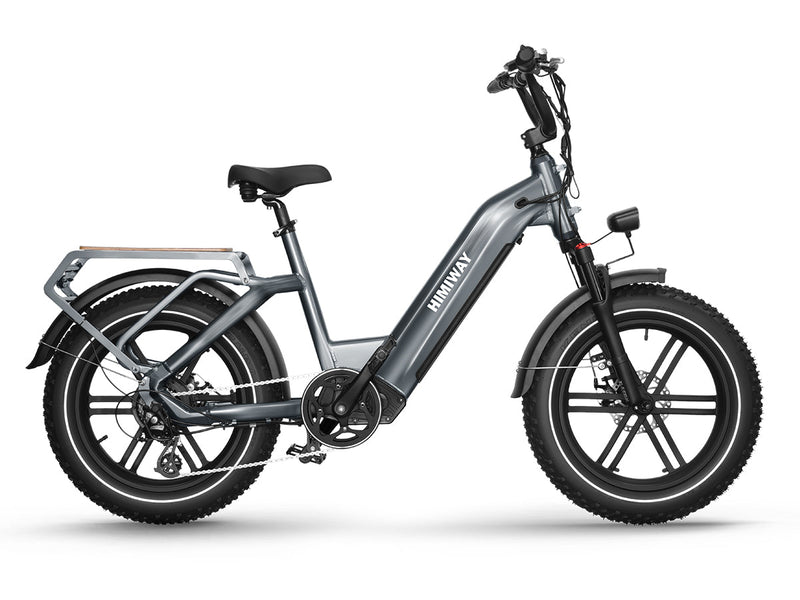 Himiway Big Dog eBike Cargo