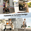 isinwheel Z1 Off Road Electric Scooter