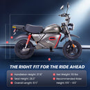 isinwheel Y18 Flow Electric Dirt Bike