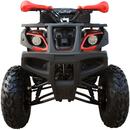 Coolster (3200U) 200cc Utility ATV, Electric Start, Automatic with Reverse, 10-inch Steel Wheels