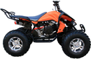 Coolster (3200S) 200cc Sport ATV, Automatic with Reverse, 10-inch Alloy Wheels, Hydraulic Disc Brakes