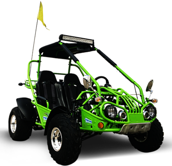 TrailMaster 200 XRX Deluxe Buggy Go Kart, Alloy Wheels, Lights, Turn Signals