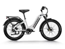 Himiway D5 ST(Zebra ST) / All-terrain Electric Fat Bike