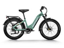 Himiway D5 ST(Zebra ST) / All-terrain Electric Fat Bike