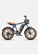 Bicicleta eléctrica ENGWE M20
