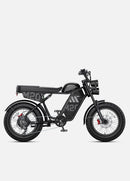 ENGWE M20 3.0 Moped Style Ebike