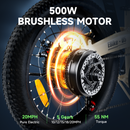 isinwheel U5 500W Folding Electric Bike