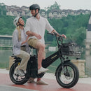 TESWAY X7 PRO Long-Range Cargo Ebike