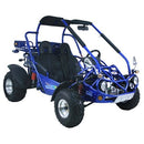 TrailMaster 300 XRX-E Dune Buggy Go Kart, EFI Fuel Injected, Liquid Cooled, Shaft Drive, Alloy Wheels