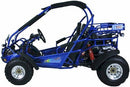 TrailMaster 300 XRX-E Dune Buggy Go Kart, EFI Fuel Injected, Liquid Cooled, Shaft Drive, Alloy Wheels