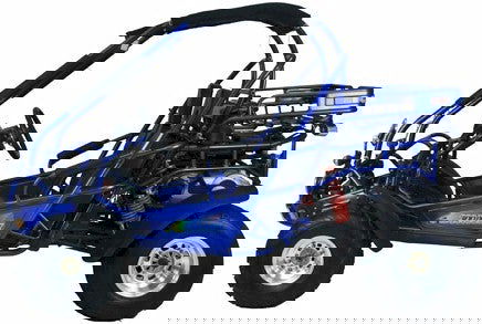TrailMaster 300 XRX-E Dune Buggy Go Kart, EFI Fuel Injected, Liquid Cooled, Shaft Drive, Alloy Wheels