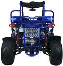 TrailMaster 300 XRX-E Dune Buggy Go Kart, EFI Fuel Injected, Liquid Cooled, Shaft Drive, Alloy Wheels