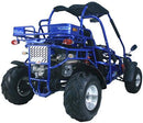 TrailMaster 300 XRX-E Dune Buggy Go Kart, EFI Fuel Injected, Liquid Cooled, Shaft Drive, Alloy Wheels