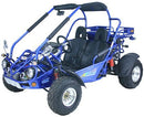 TrailMaster 300 XRX-E Dune Buggy Go Kart, EFI Fuel Injected, Liquid Cooled, Shaft Drive, Alloy Wheels