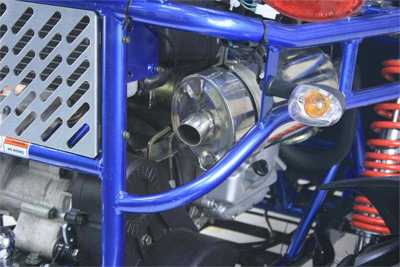 TrailMaster 300 XRX-E Dune Buggy Go Kart, EFI Fuel Injected, Liquid Cooled, Shaft Drive, Alloy Wheels