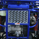 TrailMaster 300 XRX-E Dune Buggy Go Kart, EFI Fuel Injected, Liquid Cooled, Shaft Drive, Alloy Wheels