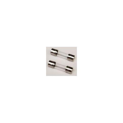 Ohaus 30500487 Fuse 10 AMP-TD Set of 2