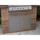 Bull 30" Double Door w/ Reveal